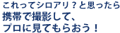 これってシロアリ？と思ったら携帯で撮影してプロに見てもらおう！