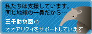 王子動物園のオオアリクイをサポートしています